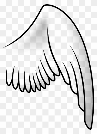 Drawing Angel Cartoon Bird - Bird Wing Clipart Black And White - Png Download