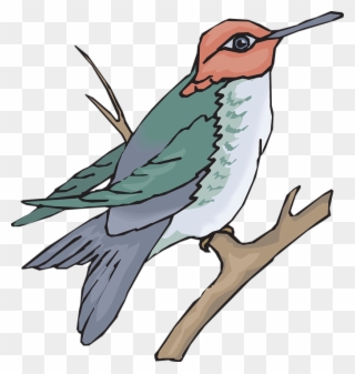 Hummingbird On A Branch Clip Art - Sun Bird Clipart - Png Download