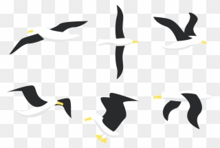 Picture Freeuse Download Penguin Bird Gulls Flight - Free Download Vector Albatross Clipart