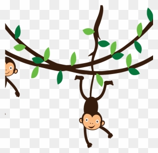 Vine Clipart Monkey Pencil And In Color Vine Clipart - Spider Monkey Clip Art - Png Download