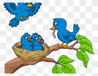 Cartoon Picture Birds In Nests Clipart