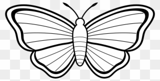 Black And White Butterfly Clip Art - Butterfly Images For Colouring - Png Download