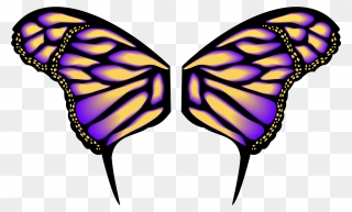 Medium Image - Butterfly Wings Clipart - Png Download
