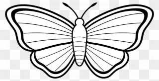 Weird Butterfly Sketch Pictures Free Cliparts Download - Colouring Picture Of Butterfly - Png Download