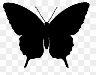 Butterfly Silhouette At Getdrawings Com Free For - Silhouette Butterfly Clip Art - Png Download