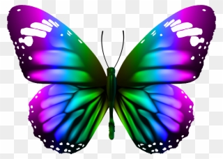 Butterfly Transparent Png Image Gallery Yopriceville - Monarch Butterfly High Resolution Clipart