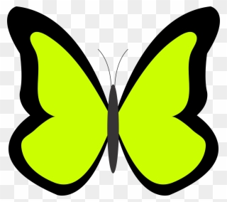 Green Panda Free Images Limeclipart - Green Color Butterfly Clipart - Png Download