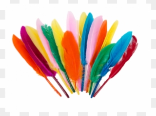 Toptan - Renkli Tüy Clipart
