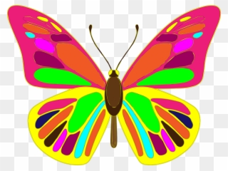 Free Butterfly Vector Art - Butterfly Vector Clipart