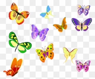 Papillons Clipart