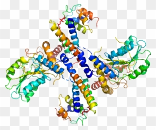 Cysteine Desulfurase, Mitochondrial Lyr Motif-containing - Illustration Clipart