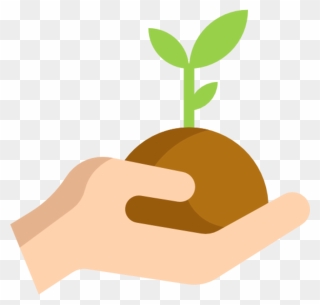 Permaculture - Plant A Tree Icon Png Clipart