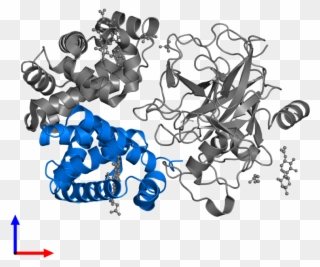 <div Class='caption-body'>pdb Entry Contains 1 Copy - Illustration Clipart