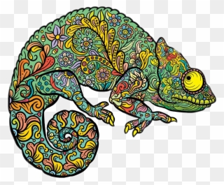 Ftestickers Chameleon Freetoedit - Coloring Pages For Adults Lizard Clipart