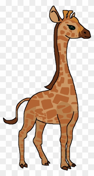 Wiki , Png Download - Giraffe Clipart