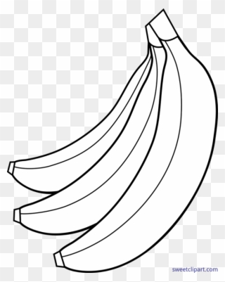 558 X 700 1 0 - Bananas Clipart Black And White - Png Download