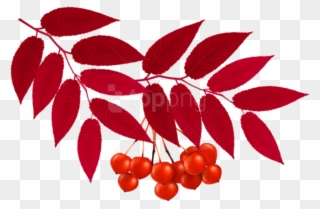 Free Png Download Autumn Red Leaves Decoration Clipart - Red Leaves Transparent