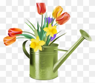 Free Tulip Cliparts - Watering Can Flowers Clipart - Png Download