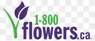 1 800 Flowers Canada Coupon Codes - Png 1800 Flowers Logo Clipart