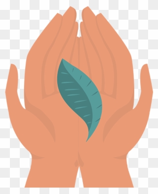 Illustration Clipart
