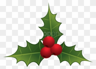 Download Mistletoe Clipart Png Photo Toppng Quirky - Mistletoe Clipart Png Transparent Png