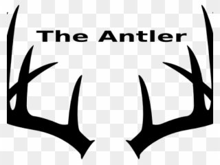 Antler Clipart Buck Antler - Deer Antlers Black And White - Png Download