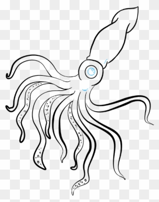 Great Migration Drawing Squid Transparent & Png Clipart - Easy Giant Squid Drawings