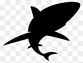 Shark Clipart