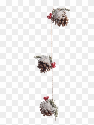 Käthe Wohlfahrt Online Shop Zapfen Girlande Mit Beeren - Oregon Pine Clipart