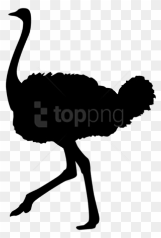Free Png Ostrich Silhouette Png - Autruche Périgourdine Clipart