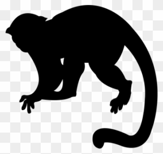 Monkey Silhouette Png - Capuchin Monkey Silhouette Png Clipart