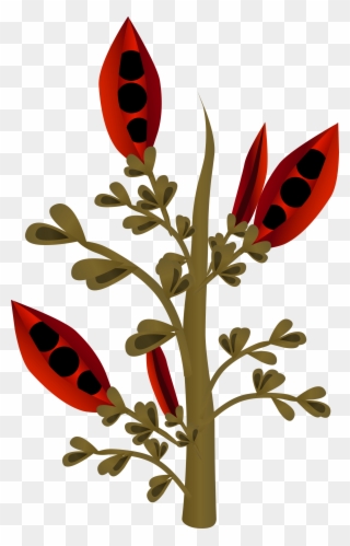 This Free Icons Png Design Of Firebog Firebean 1 - Plants Clipart