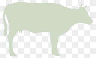 Siğircilik - Cattle Clipart