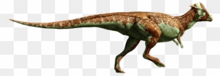 Jurassic World Pachycephalosaurus Clipart