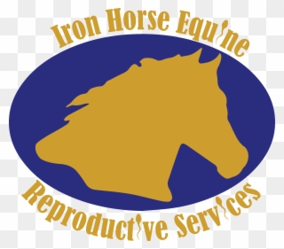 Services Iron Horse Equine Clipart