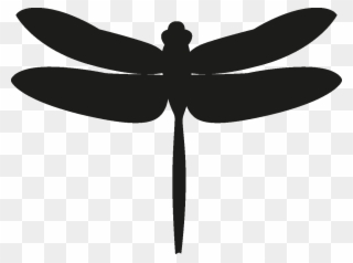 Insects Set Silhouette Png Dragonfly Clipart 4564696 Pinclipart