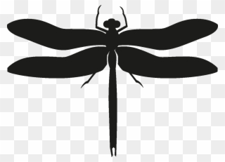 Insects Set [silhouette] Png - Dragonfly Clipart