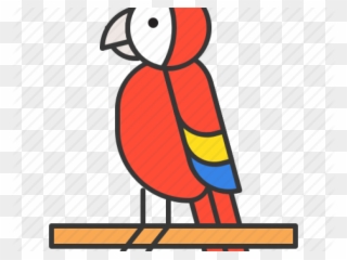 Parrot Clipart Zoo - Cartoon - Png Download