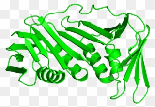 <div Class='caption-body'>2 Copies Of Cath Domain < - Calligraphy Clipart