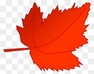 Autumn Leaves Clipart Animated - Red Autumn Leaves Clipart - Png Download