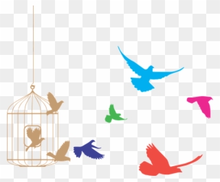 Enter Title - Birds Out Of A Cage Clipart
