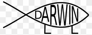 On The Origin Of Species Darwin & Evolution Darwin - Darwin Clipart - Png Download