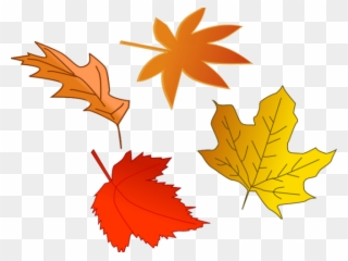 Maple Leaf Clipart November Leaves - Fall Leaves Clip Art - Png Download
