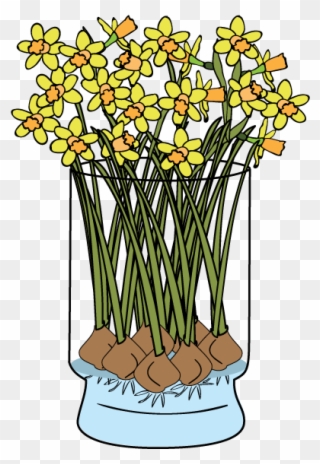 Daffodils-faq - Flower Clipart