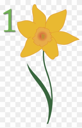 Daffodil Clipart April - Narcissus - Png Download