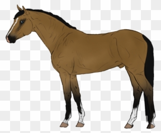 More Like 5 Point Horse Adopt - Animated Horse Transparent Clipart