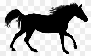 All Photo Png Clipart - Horse Silhouette Jpg Transparent Png