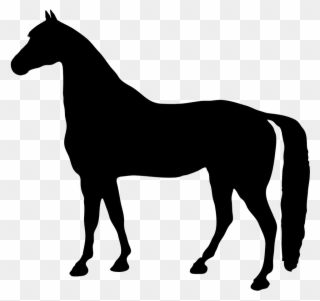 Galloping Horse Silhouette Clip Art - Horse Png Black Transparent Png