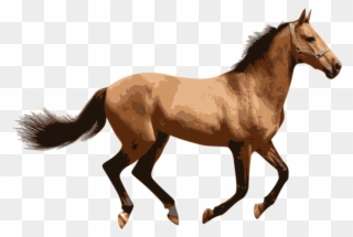 Horse Lion Computer Icons Animal - Horse Png Clipart
