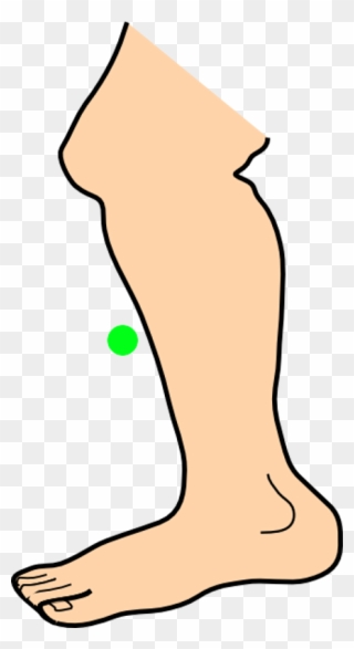 Shin Clipart - - Feet Clipart Png Transparent Png